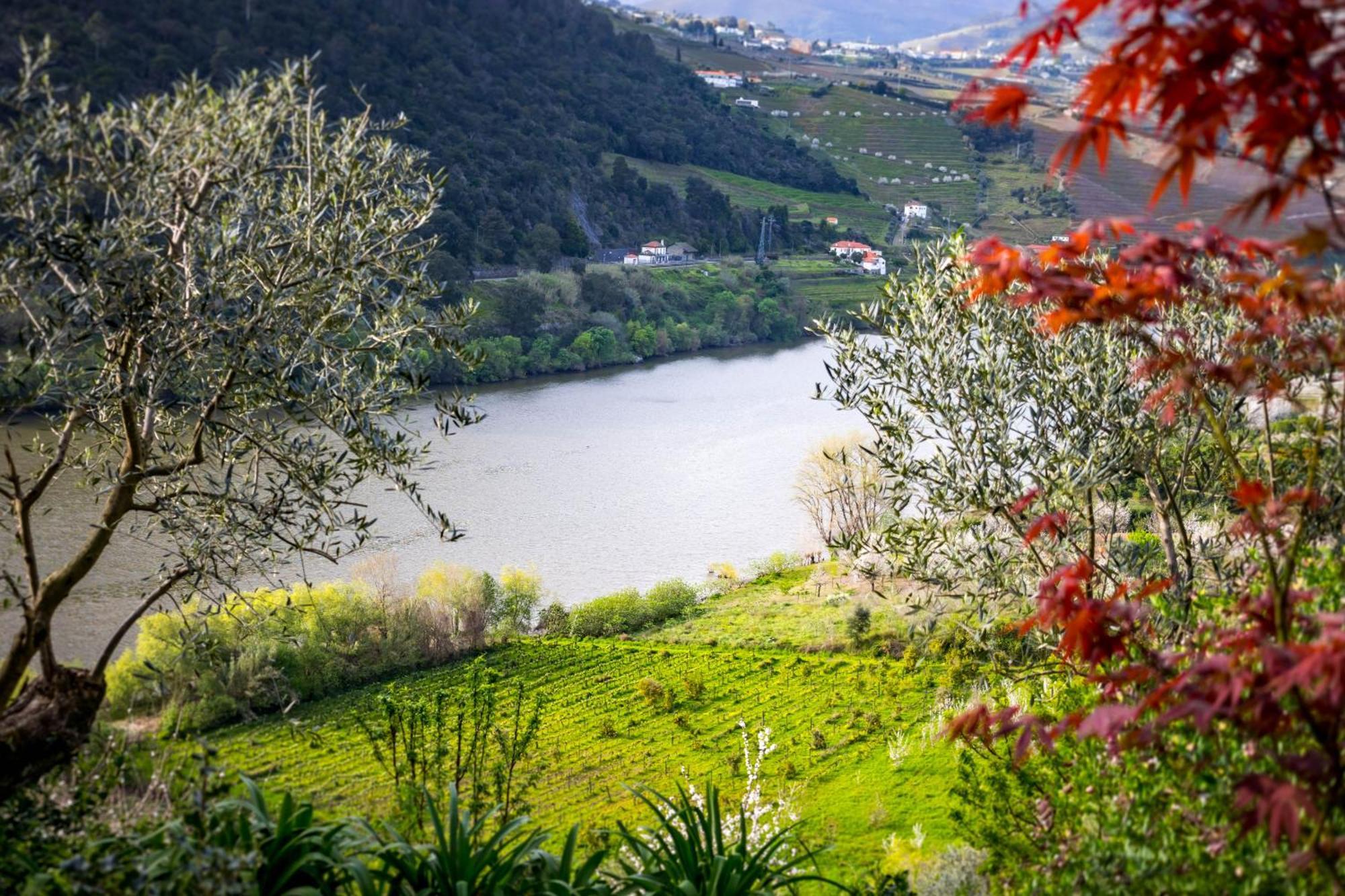 Villa Fraga Douro House Resende Exterior foto